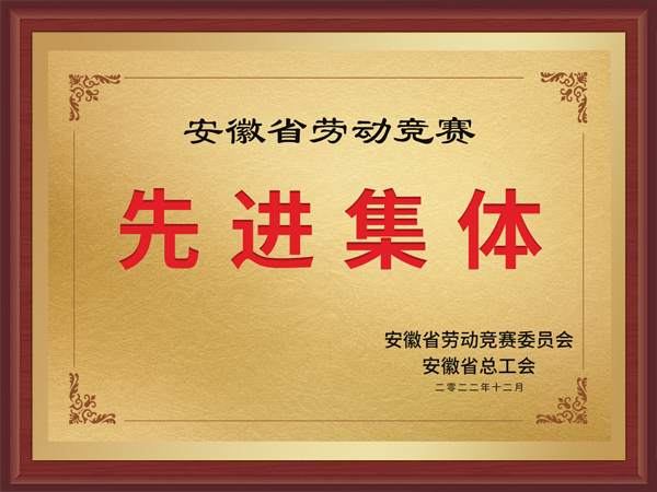 安徽省劳动竞赛先进集体