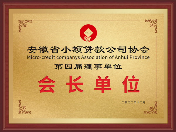 安徽省小额贷款公司协会会长单位
